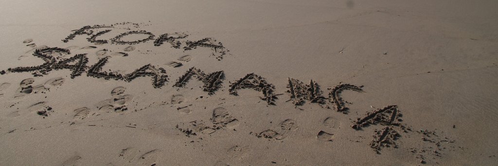 FloraSalaman's profile banner image