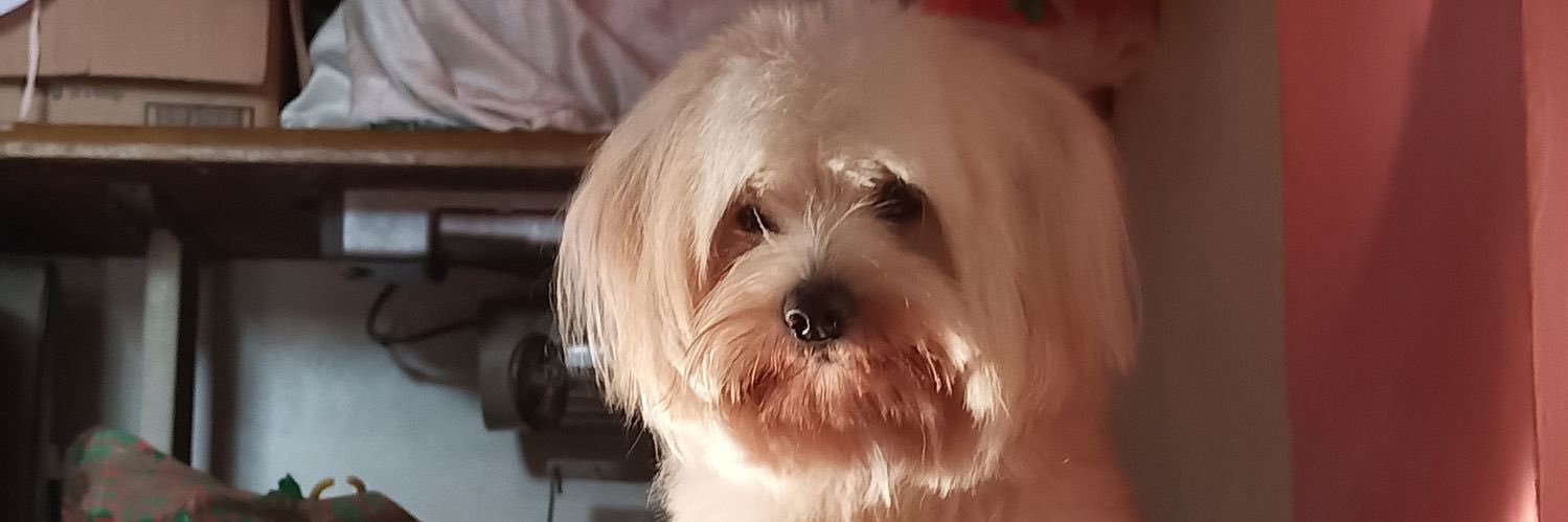 benayyss's profile banner image