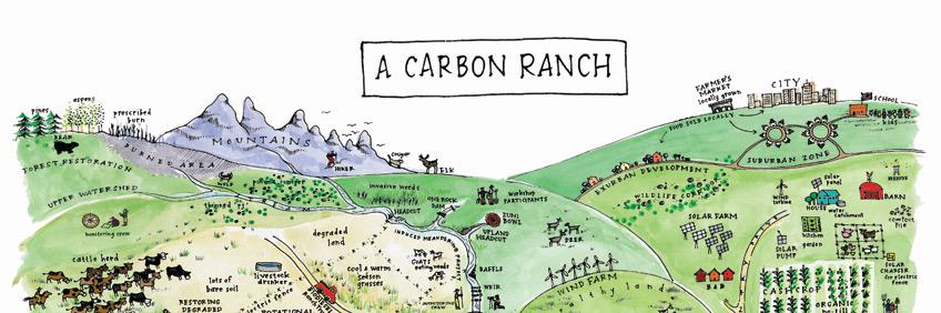 carboncoalition's profile banner image