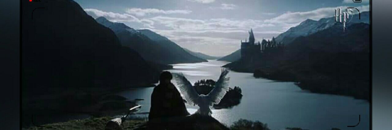 𝓐𝓻𝓲 𝓡𝓲𝓫𝓪𝓼 𝓑𝓸𝓫𝓮𝓻 🖤♀️ banner