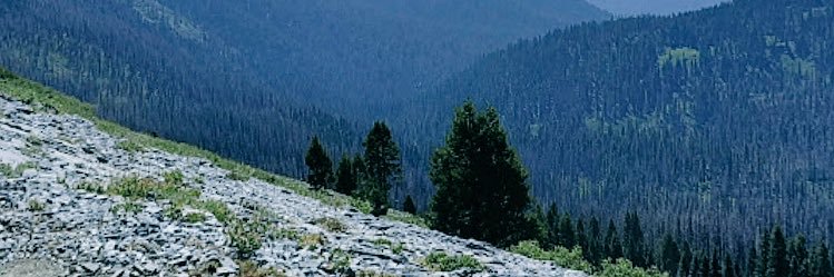 NajlaHe's profile banner image