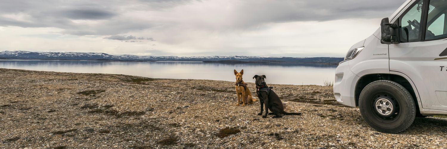 geodogsonroad's profile banner image