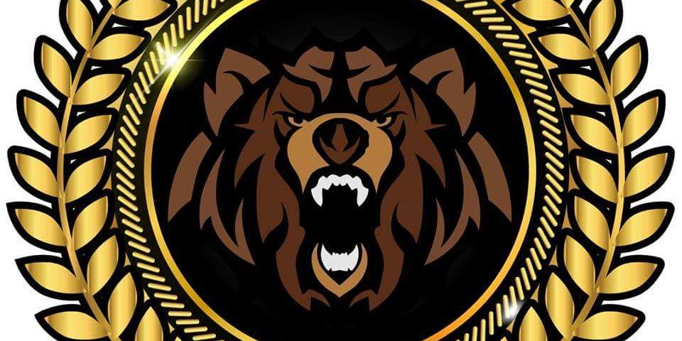 subdynasty's profile banner image