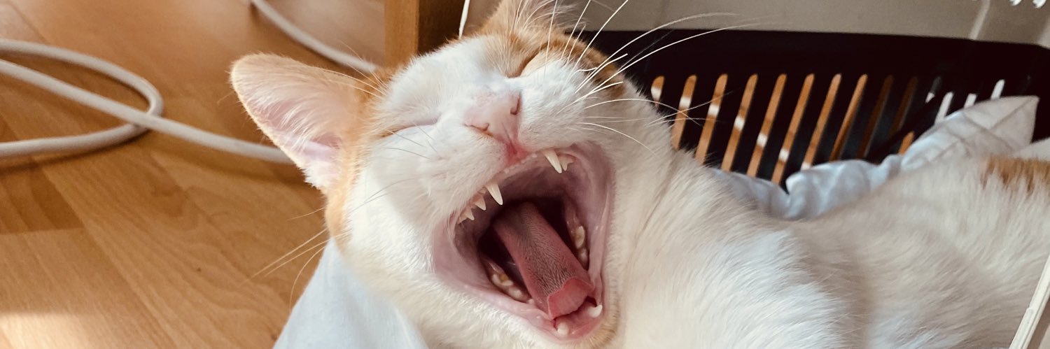 fadimother's profile banner image