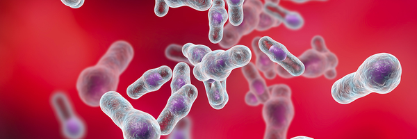 CDifficile1 Profile Banner