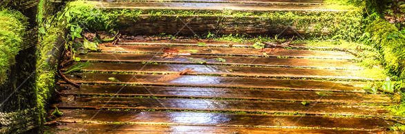emis_nn's profile banner image