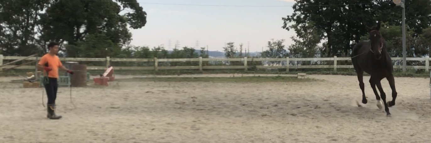 前田慎太郎(まえもん) banner