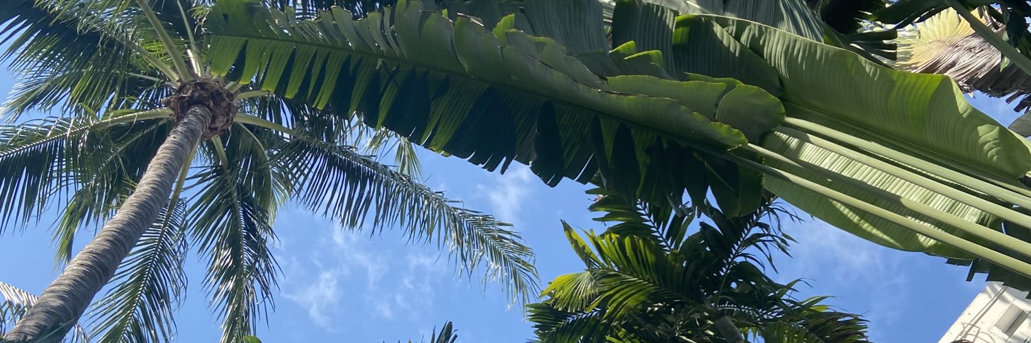 dreadenise_'s profile banner image