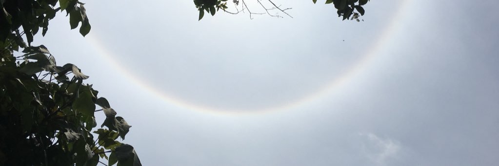 MID☆SEN@みど☆セン banner