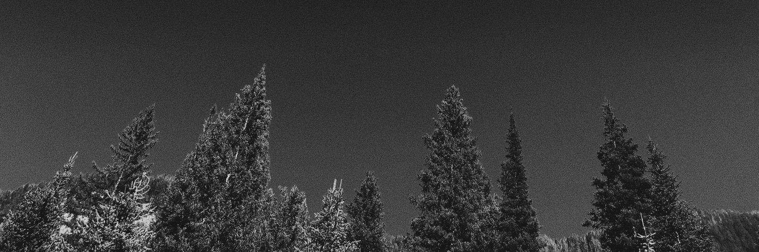scvr_lett's profile banner image