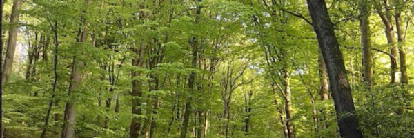 TinaThode Profile Banner