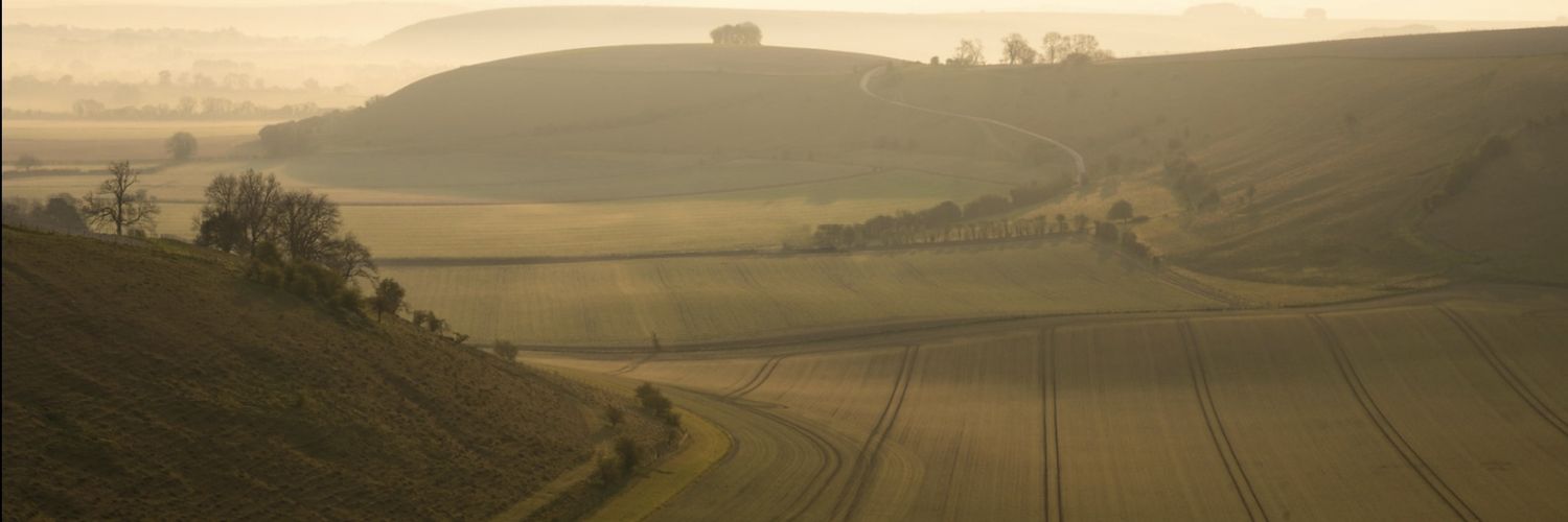 Digitalwolf2's profile banner image