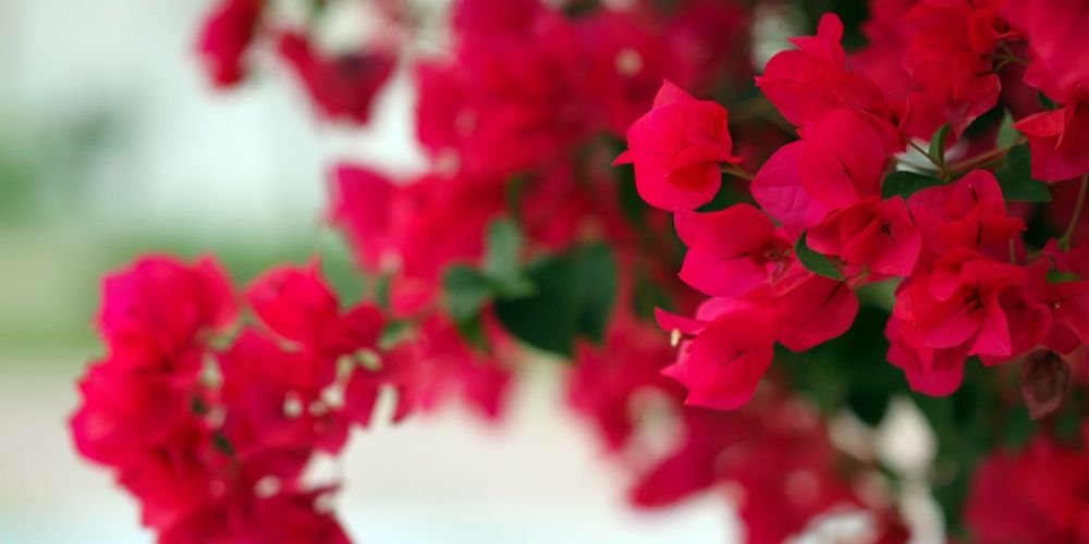 mohdo271972's profile banner image