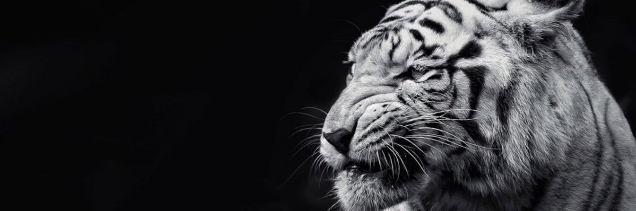 petercha000's profile banner image