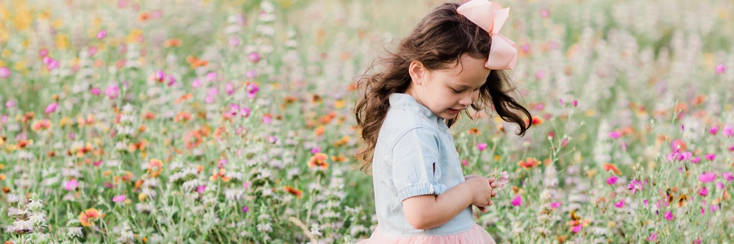 Michelle Wright, Ed. D. banner