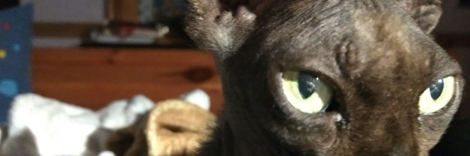 ericka_labbe's profile banner image