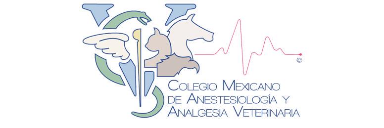 cmaavet's profile banner image