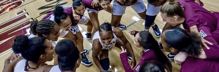 Mt. SAC W Basketball banner