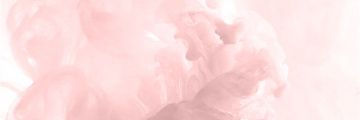 dalissy's profile banner image