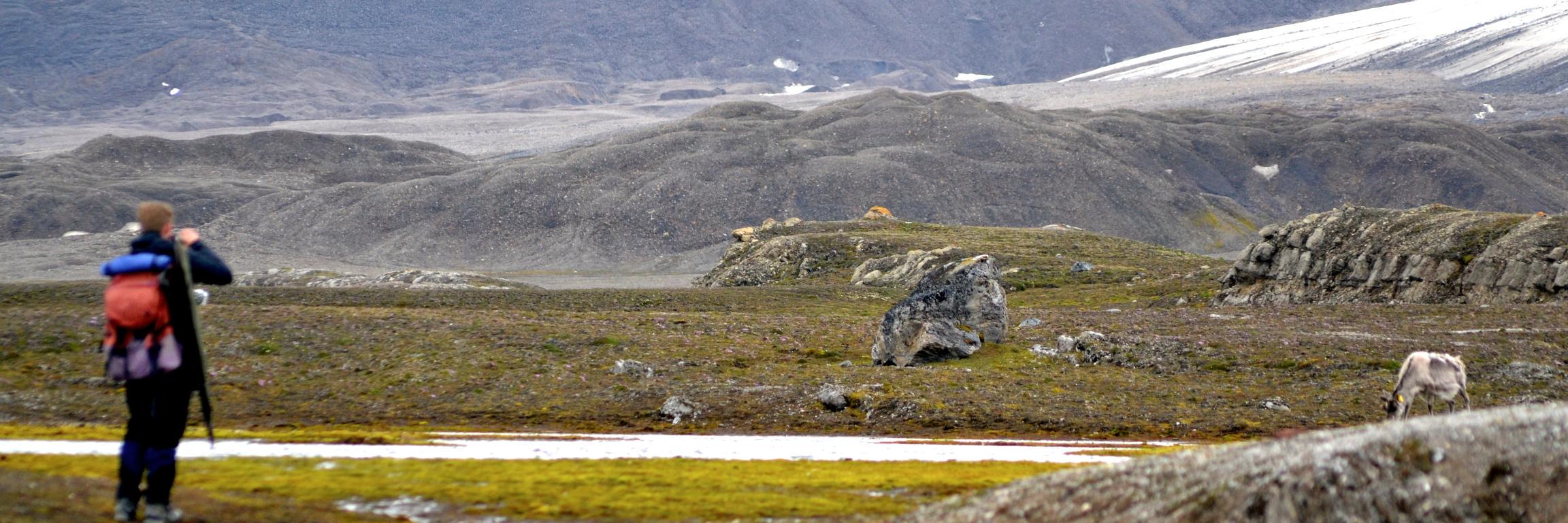 Microbe_Arctic banner