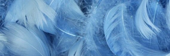 chi / mt after dm banner