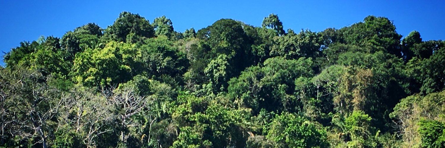 Christine Scoffoni banner