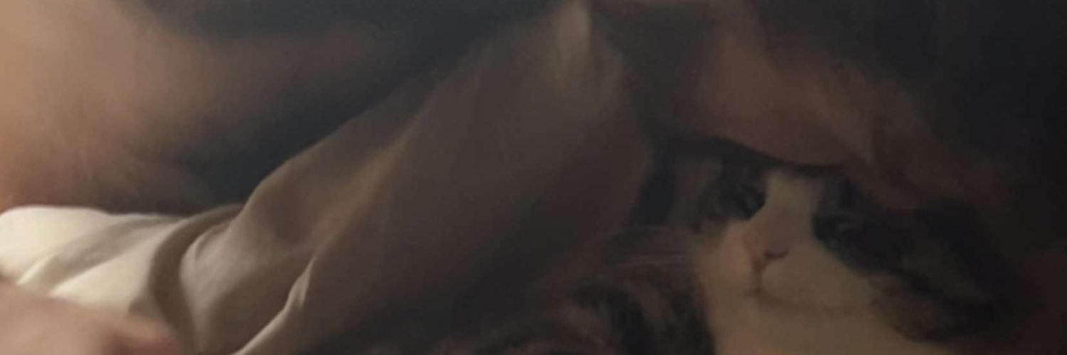 Dmouzz banner