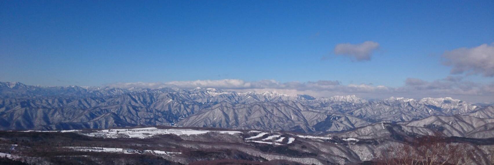 coebi_no2's profile banner image