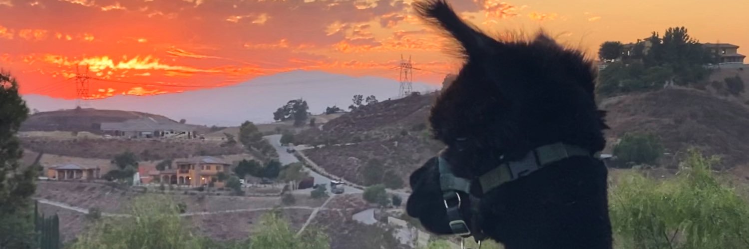 FindAdragon's profile banner image