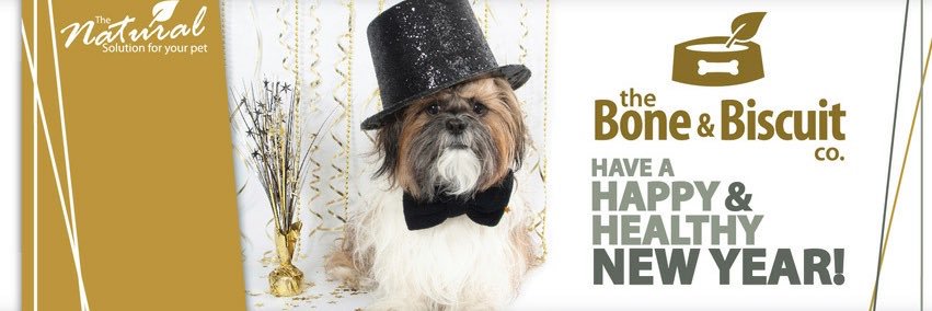 Bone_BiscuitFA's profile banner image