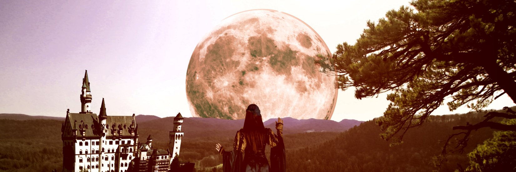 The_MoonLover's profile banner image