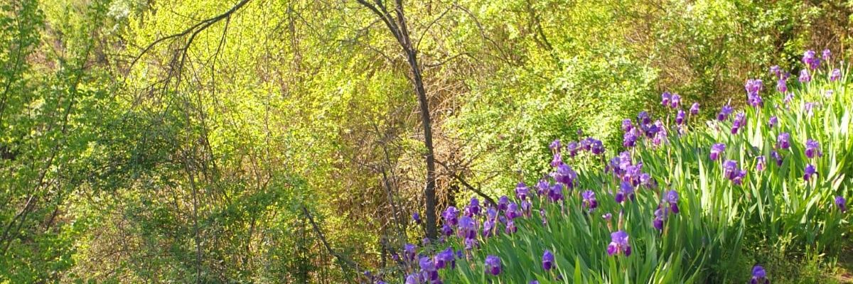 Joseph_Messser's profile banner image