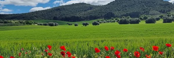 aytovillalbilla Profile Banner