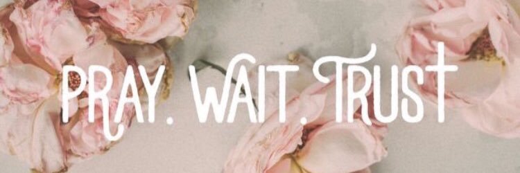 SaraBrynte's profile banner image