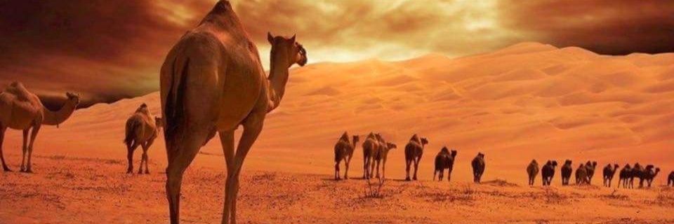 jiitem89's profile banner image