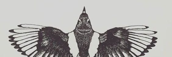 ColleenRegovic's profile banner image
