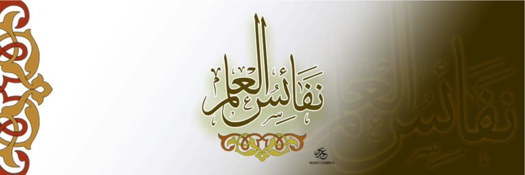N_Alaelm's profile banner image