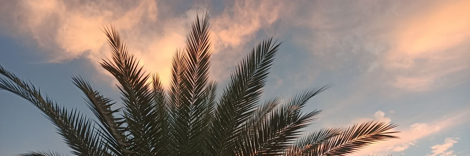 Lalkail's profile banner image