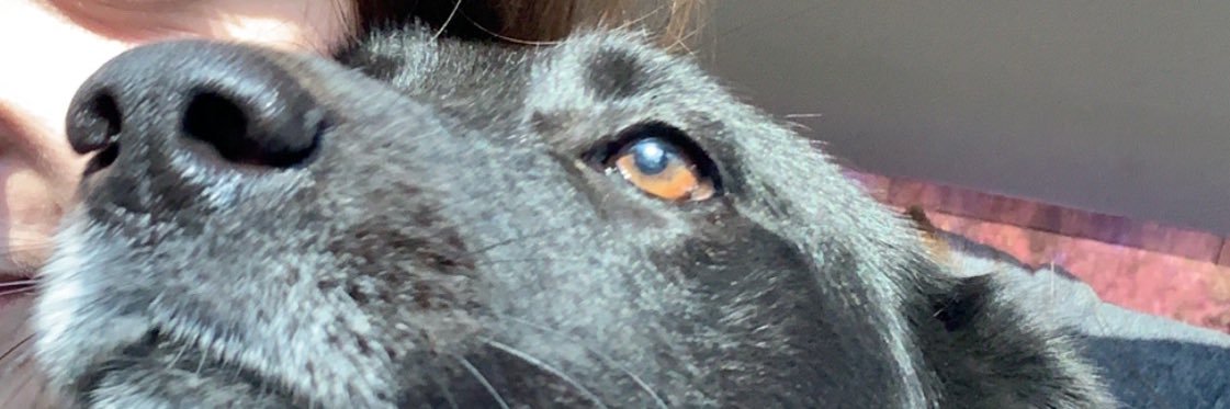 cwhisonant10's profile banner image