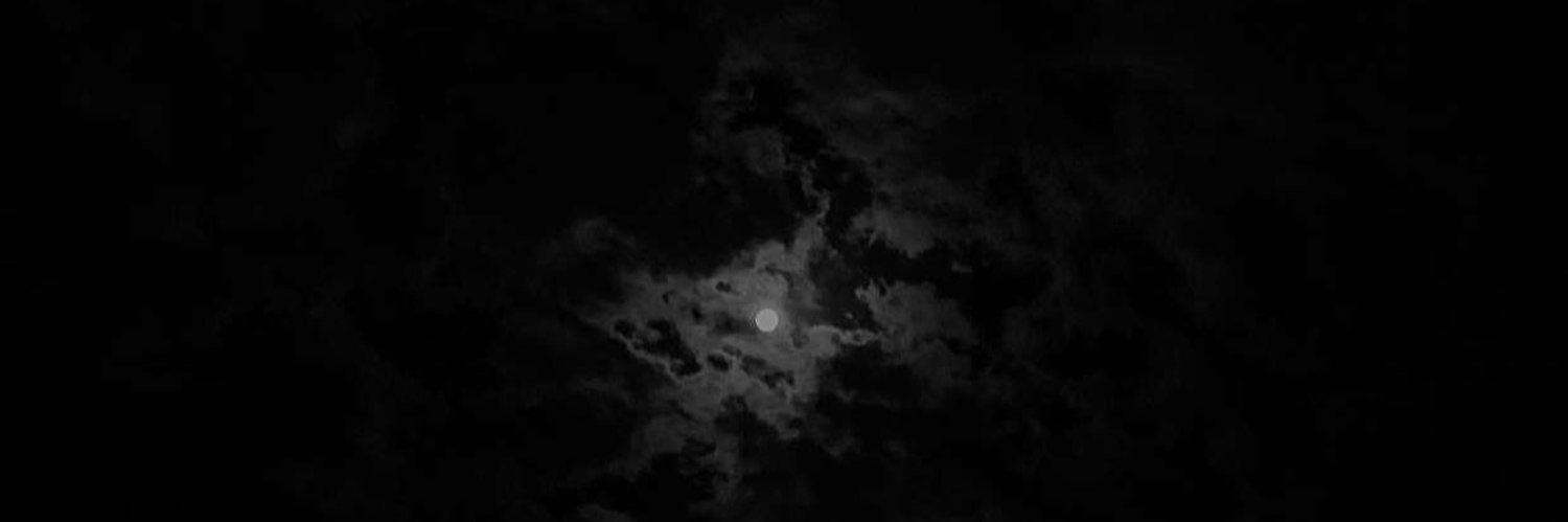zyo_8's profile banner image