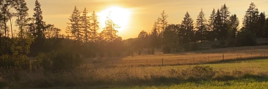 Mark_iii15's profile banner image