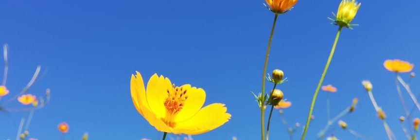 dalilalopezsal's profile banner image