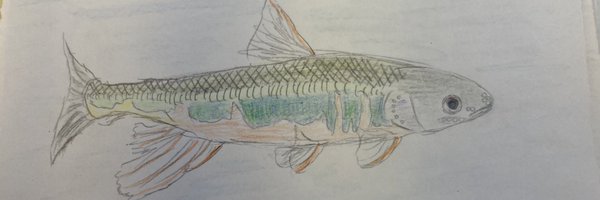 SciKotz Profile Banner