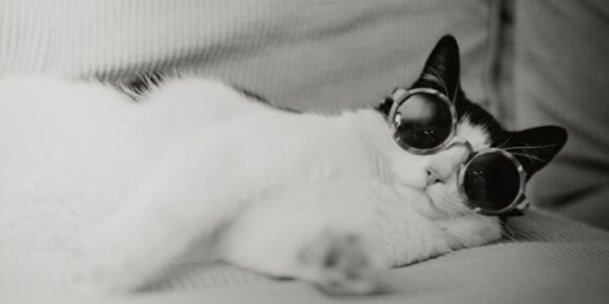 _DizzyMsLizzie's profile banner image