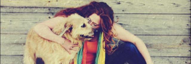 mytraveltails's profile banner image