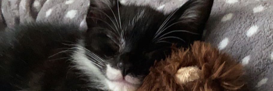 RachelNicole_ox's profile banner image
