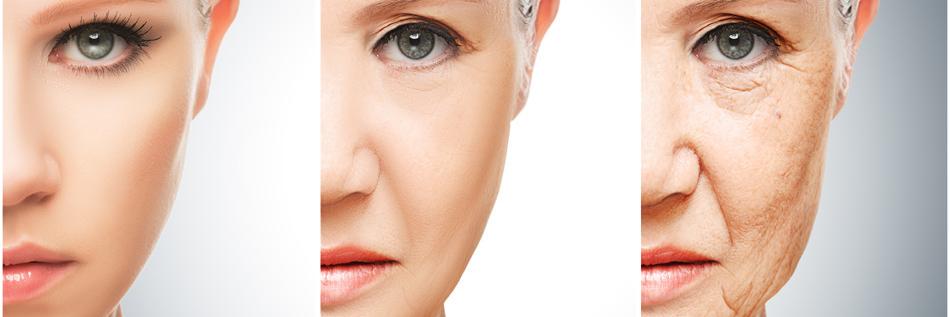 Yvette Cruz banner