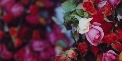TasyaJam's profile banner image