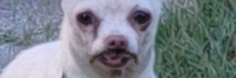 E_Moreno25's profile banner image