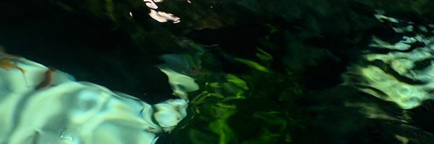moonlight8190's profile banner image